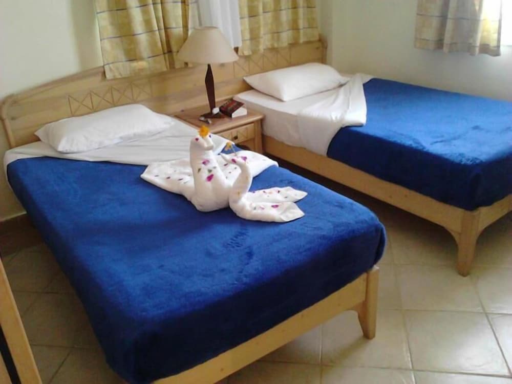 Фото Logaina Sharm