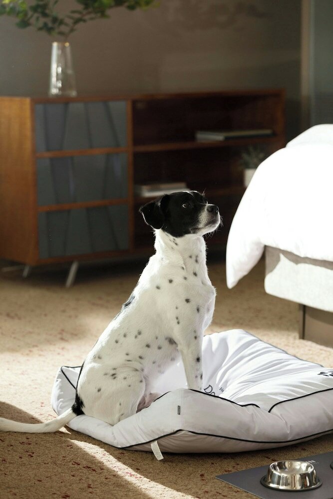 Фото The Westin Fort Lauderdale