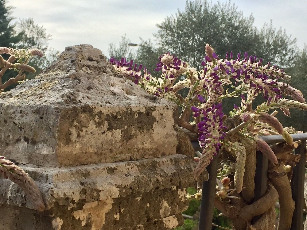 Фото Hotel Palazzo di Valli