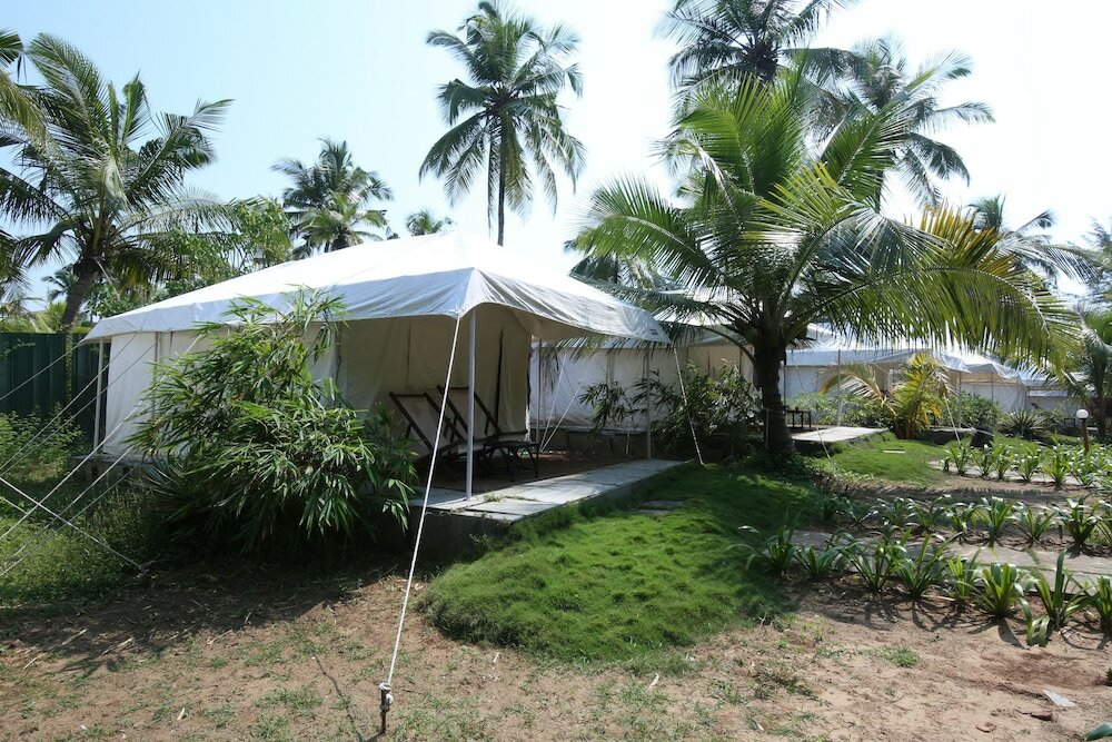 Фото Montego Bay Beach Village