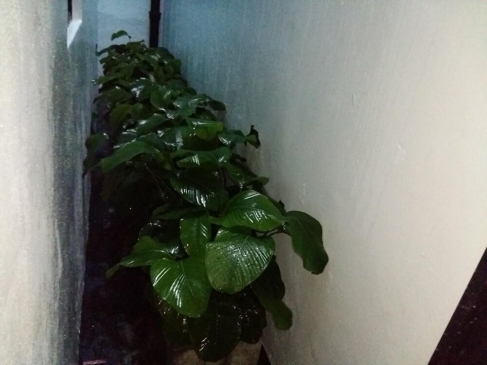 Фото Brick Box Hotel