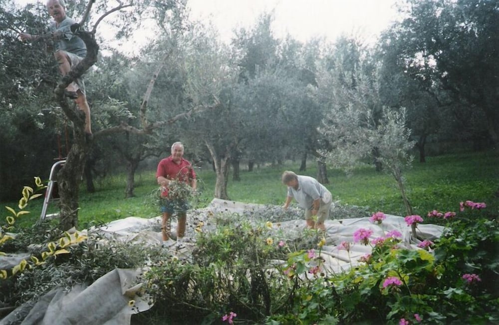 Фото Castelli Hotel Adults Only - All Inclusive