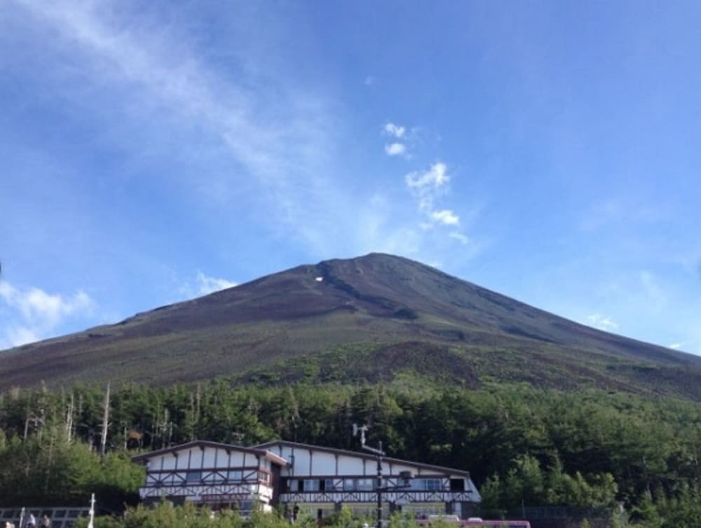 Фото Lupinus Kawaguchiko