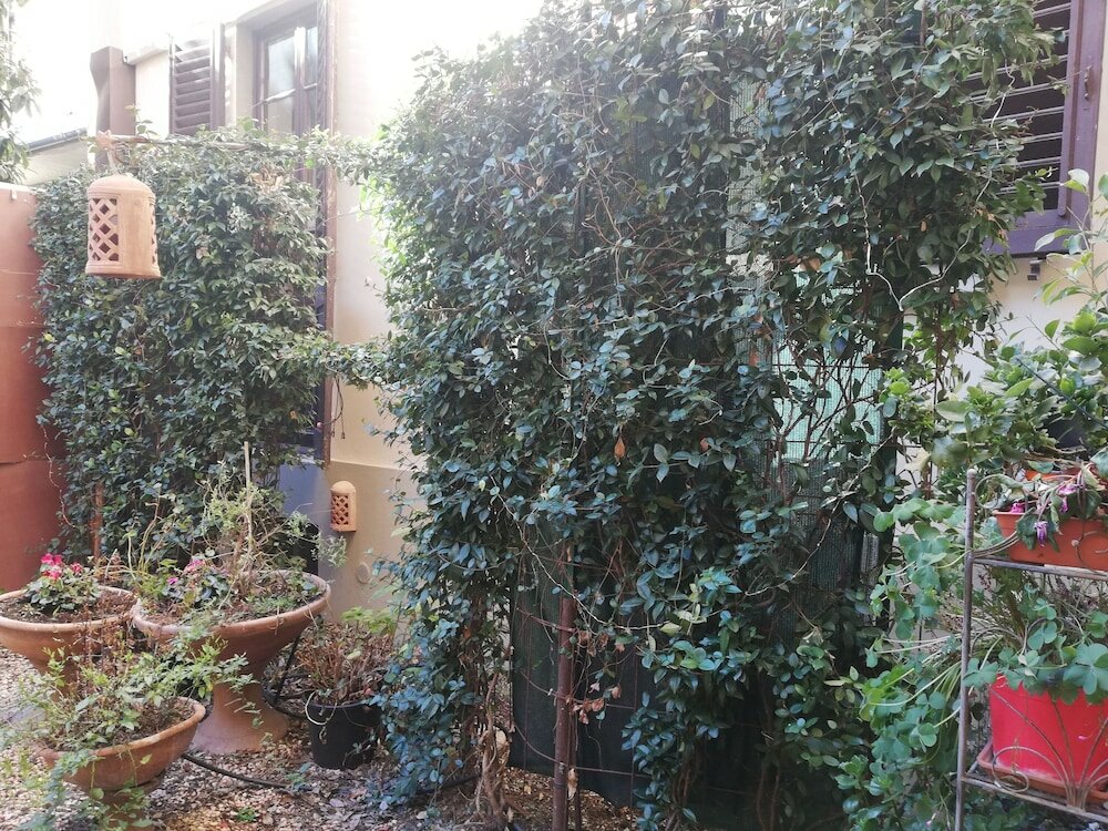 Фото Hotel Cimabue