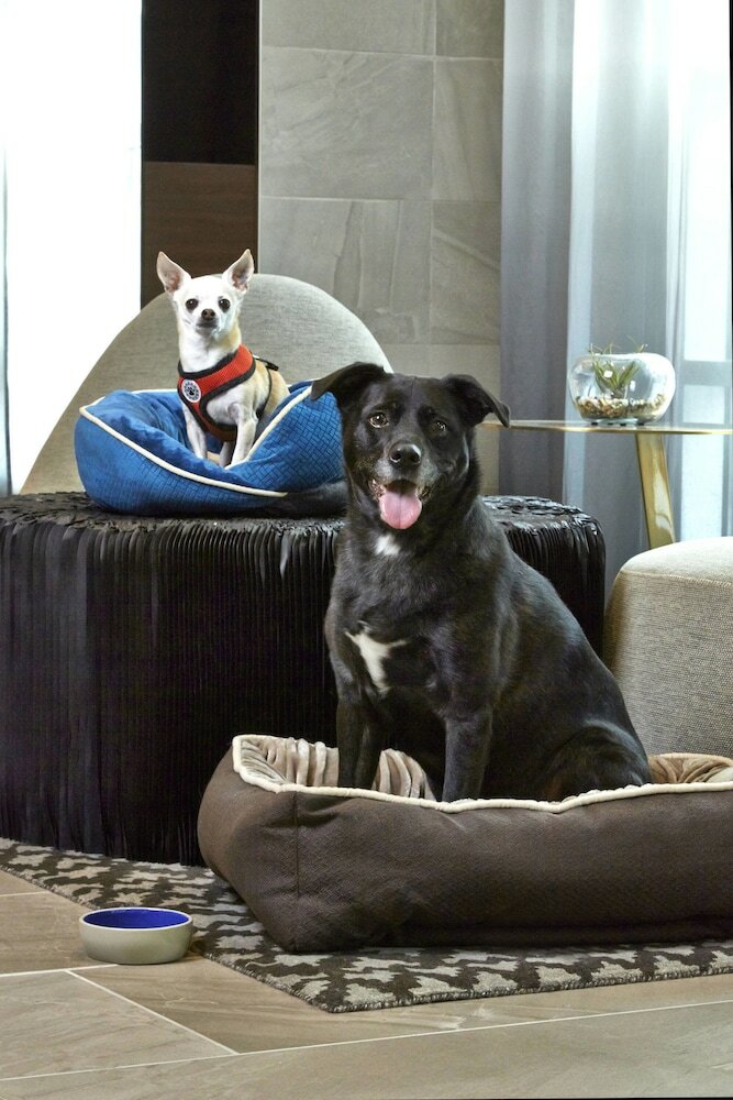 Фото Ac Hotel by Marriott Portland Downtown