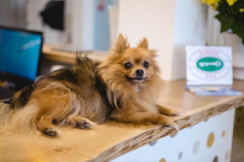 Фото Hotel Speranza