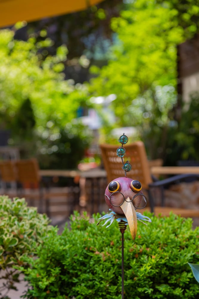 Фото Das Ebertor Hotel & Hostel