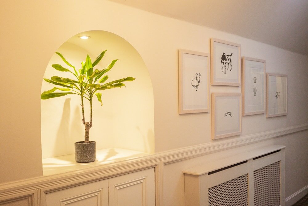 Фото 138500889125