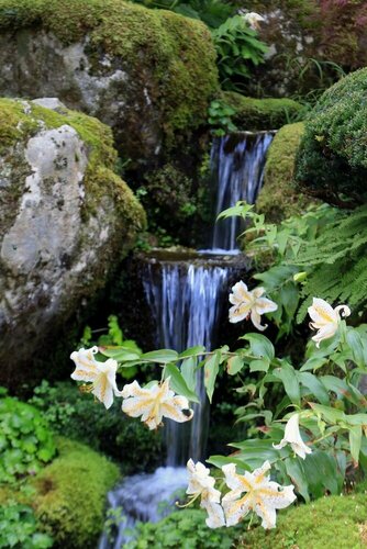 Внешний вид отеля Teiensaryo Yamanakako в Яманакако, фото 3
