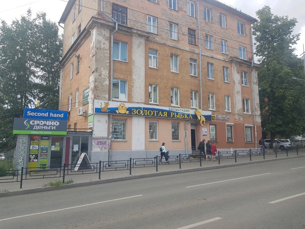 Магазин Золотая Рыбка Ижевск Каталог Товаров
