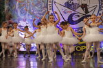 Balleta choreographic school (Novogorsk Microdistrict, Olimpiyskaya Street, 15), escuela coreográfica
