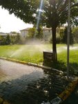 Walking Park (İstanbul, Beylikdüzü, Barış Mah., Cahit Sıtkı Tarancı Sok.) ، الغابات
