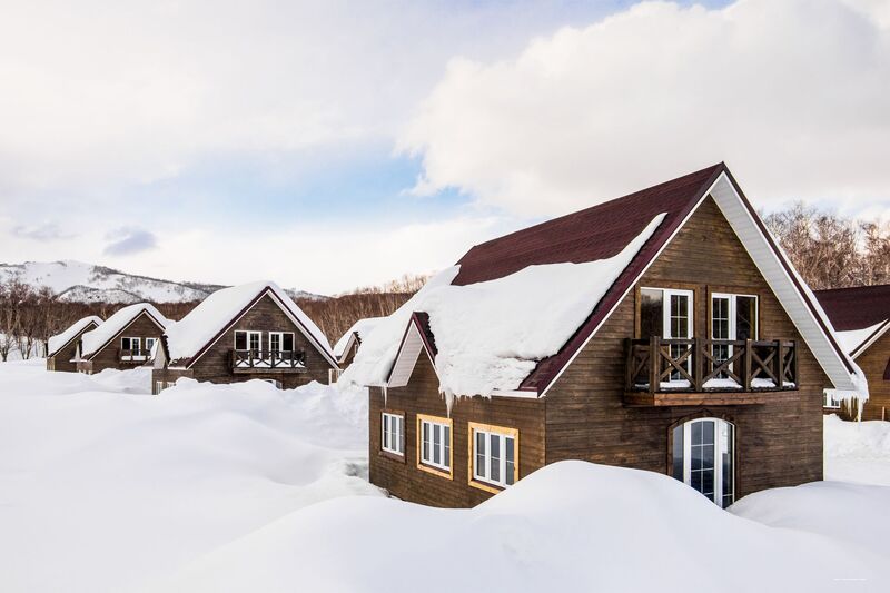 Фото Лесная поляна