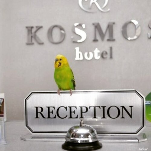 Гостиница Космос в Хабаровском крае