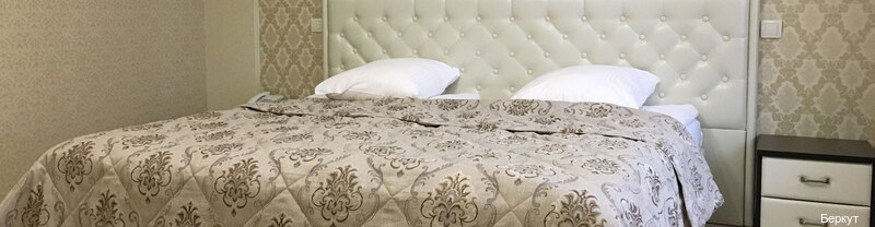 Фото Беркут