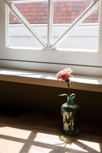 Фото Vesting Hotel