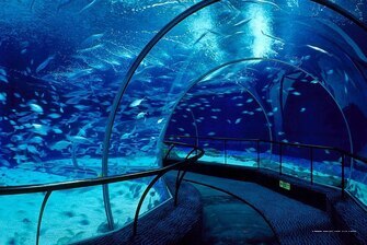 Фото Shanghai Marriott Marquis City Centre