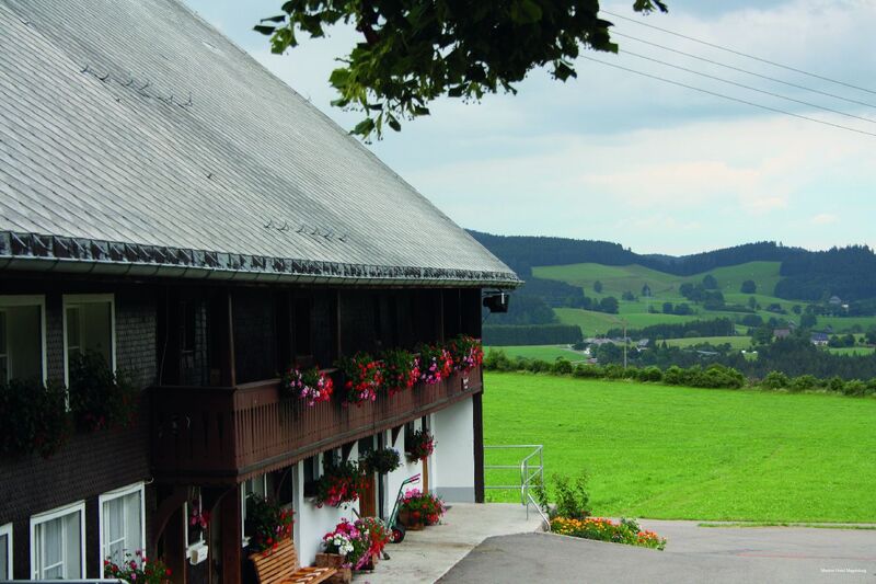 Фото Maritim Hotel Magdeburg
