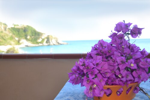 Гостиница Villaggio Hotel Quattro Scogli