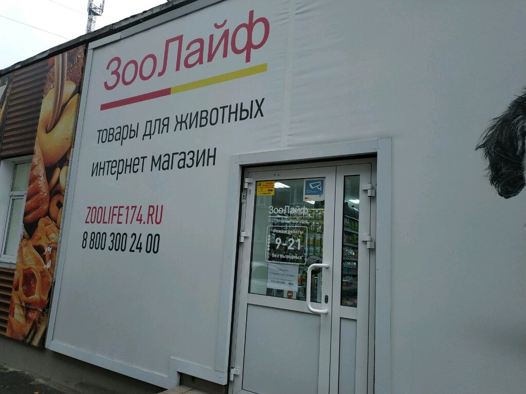 Зоолайф 74 Интернет Магазин