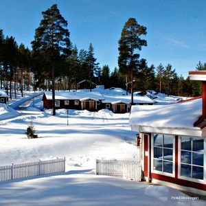 Фото Hotell Moskogen