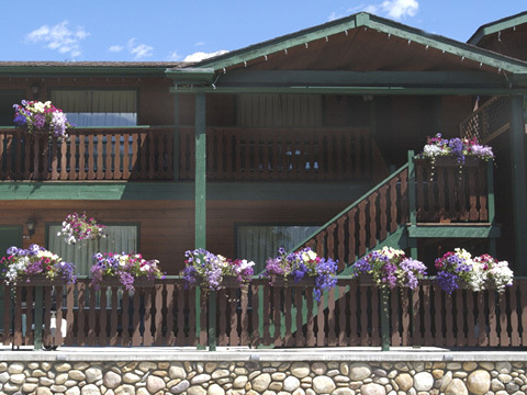 Фото отеля 5