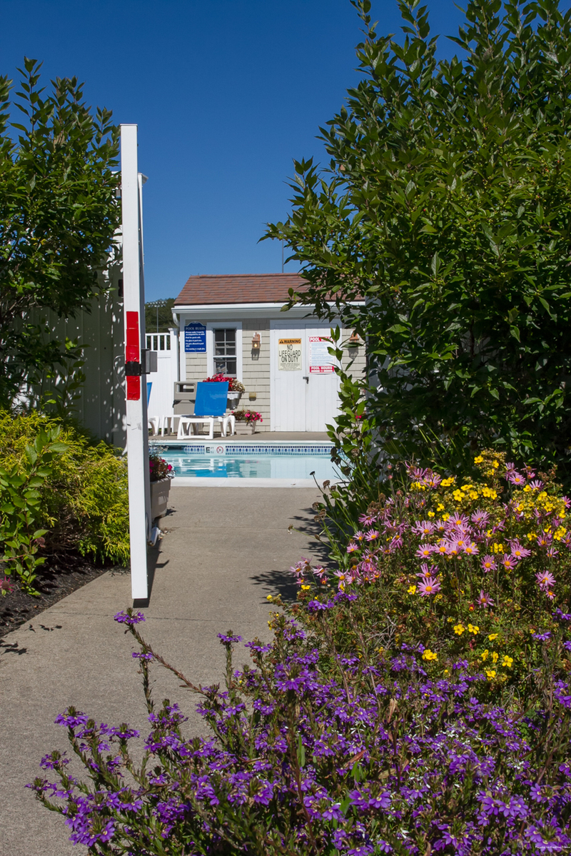 Фото Flagship Inn and Suites