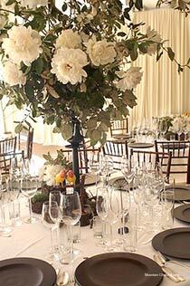 Фото Mountain Chalet Aspen