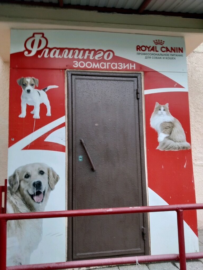 Интернет Магазин Зоотоваров Ульяновск