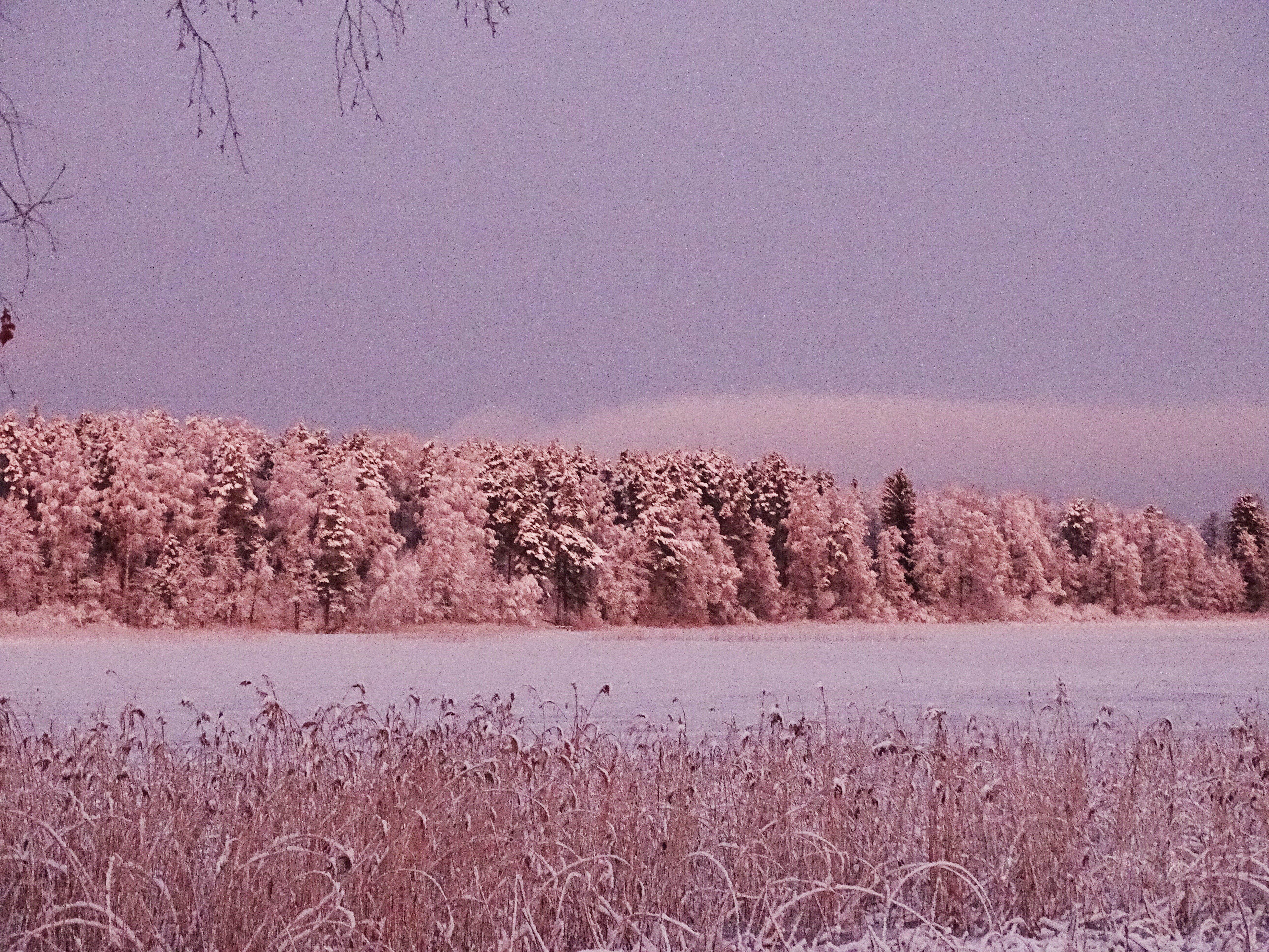Фото Рыбная Слобода