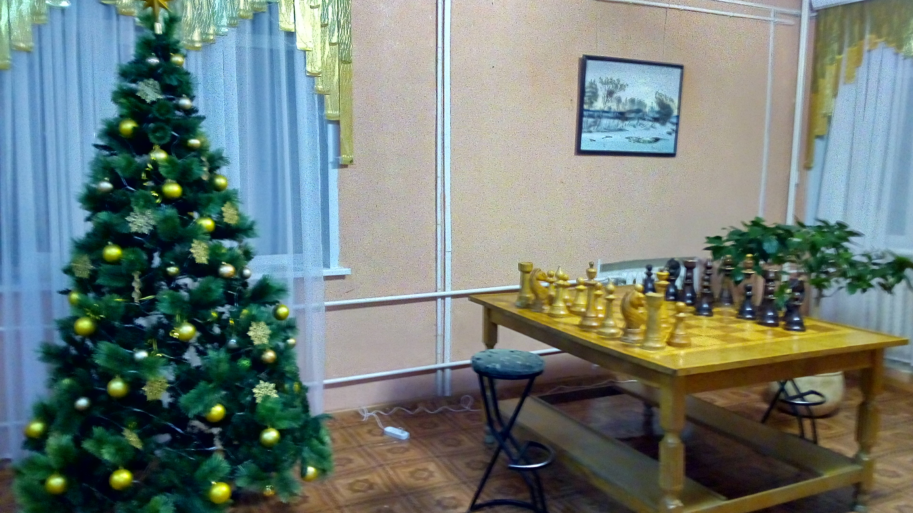 Фото Лесная жемчужина