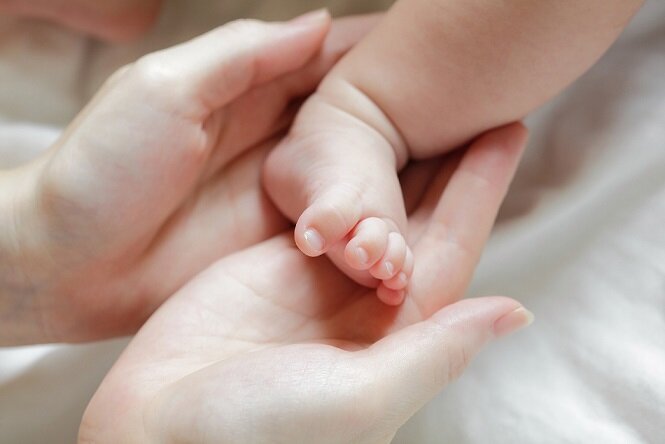 خدمات المعلومات الطبية Агентство суррогатного материнства Will Mama ، موسكو، صورة