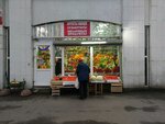 Магазин овощей и фруктов (просп. Художников, 9, корп. 1), магазин овощей и фруктов в Санкт‑Петербурге