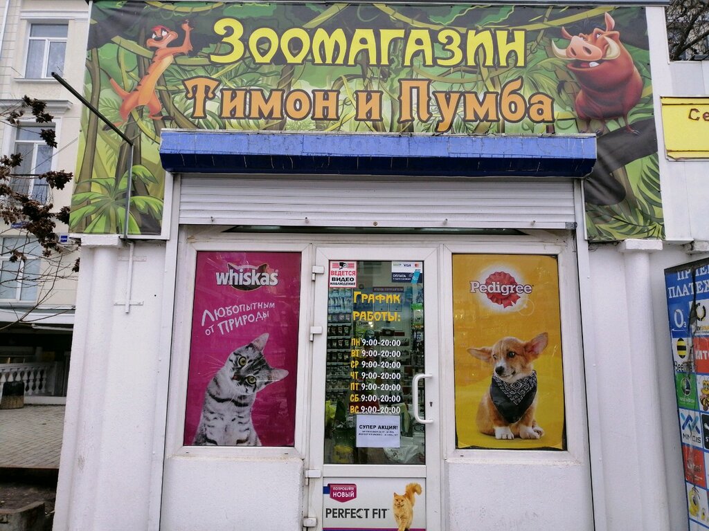 Май Пумба Южно Сахалинск Интернет Магазин