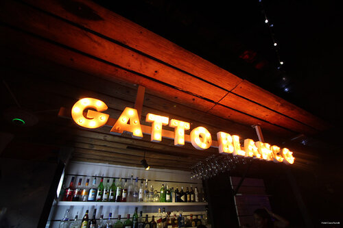 Гостиница Gatto Blanco Party Hotel в Панаме