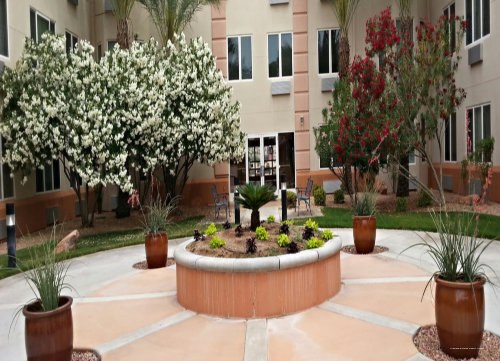 Фото Mojave Edge