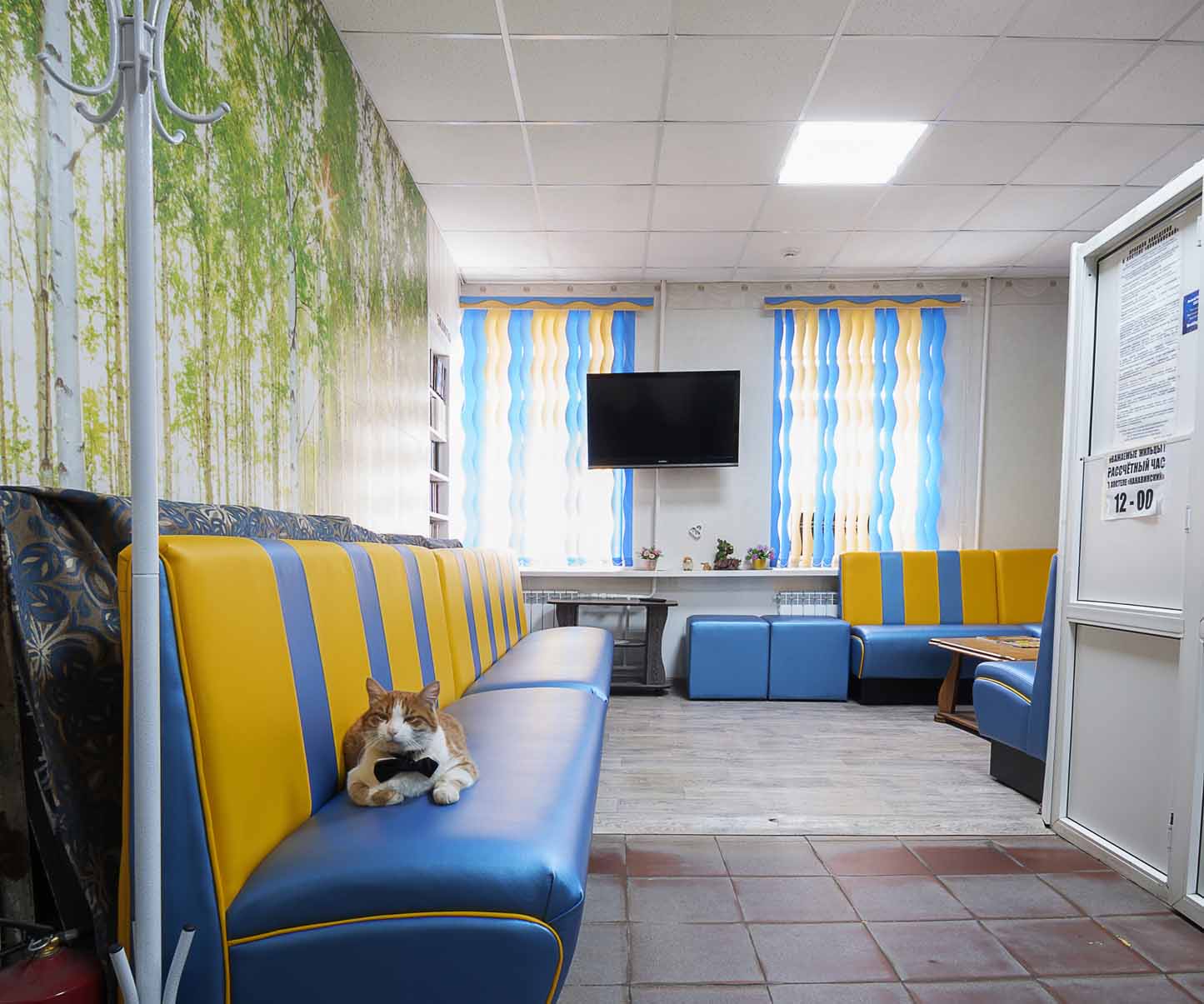 Фото Канавинский