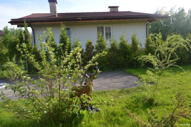 Фото Гостиница Спас-Каменка