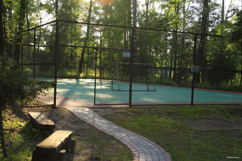 Фото Берёзовая роща