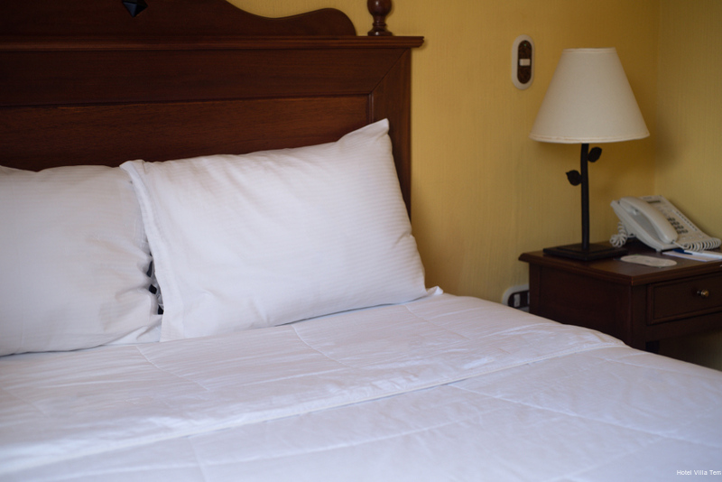 Фото Hotel Villa Terra