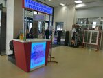 ПотолкоВ (Admiralteyskaya Street, 51), sistemas de techado