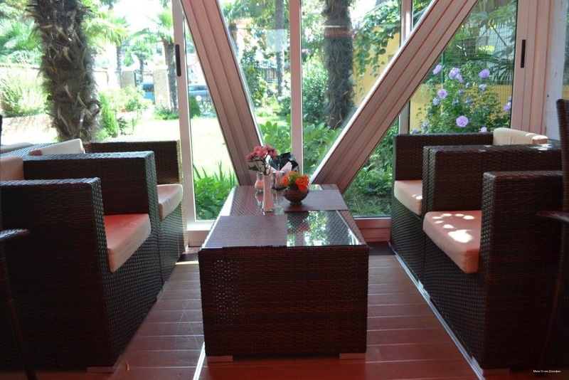 Фото Дельфин