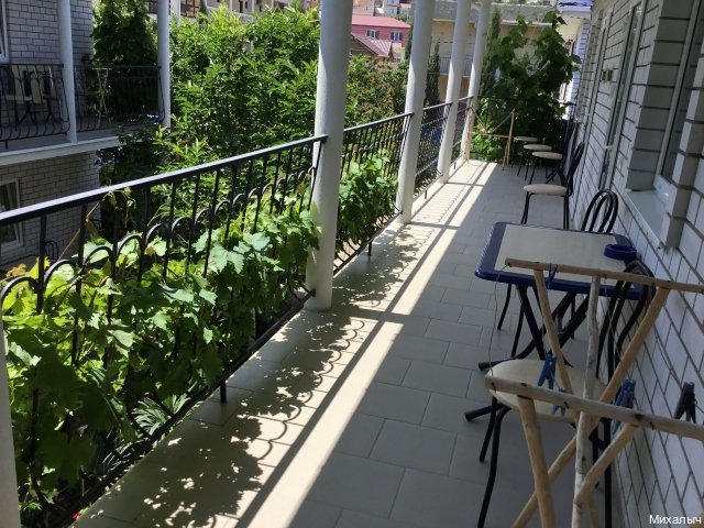 Фото Михалыч