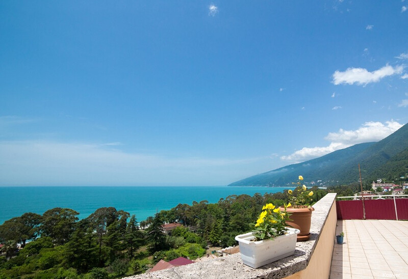 Фото Ковчег