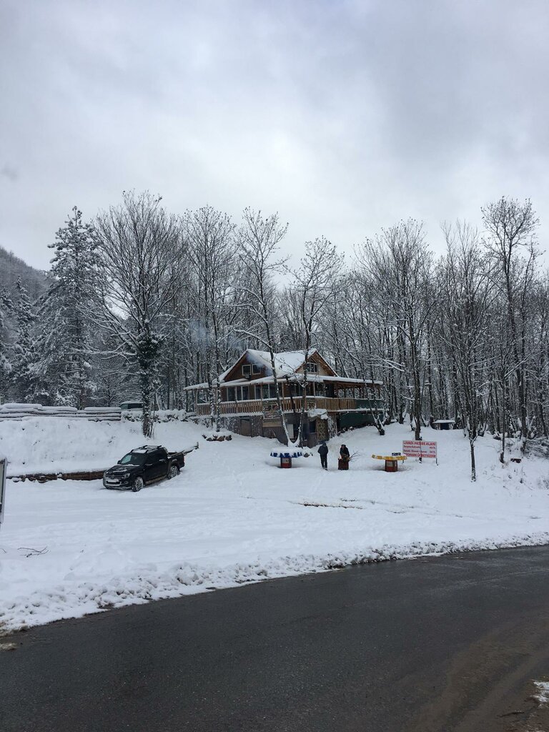 Cafe Livadi Picnic Area, Kartepe, photo