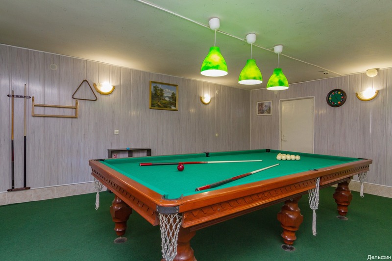 Фото Дельфин