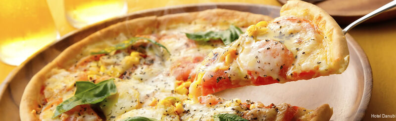 Фото Danubio Hotel