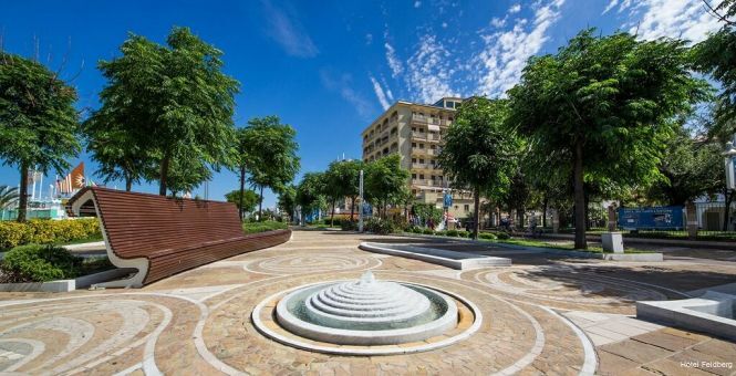 Фото Hotel Feldberg