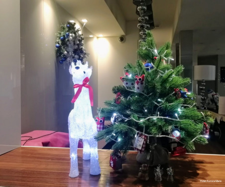 Фото Hotel Aurora Mare