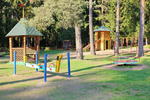 Иное жильё Сосновый бор в Костроме